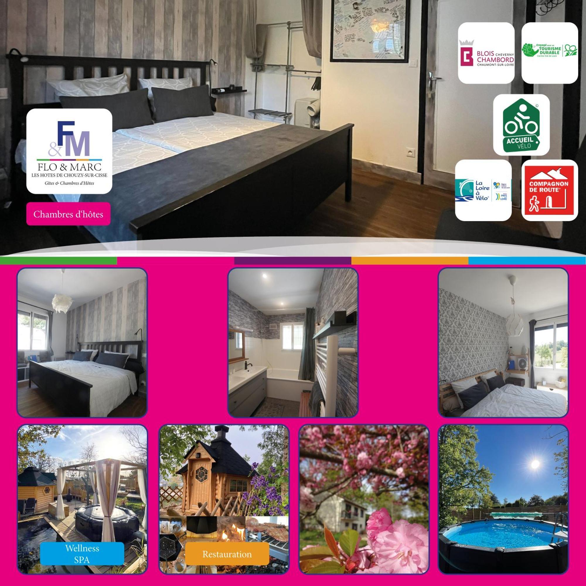 Chez Flo Et Marc Apartment Chouzy-sur-Cisse Bagian luar foto