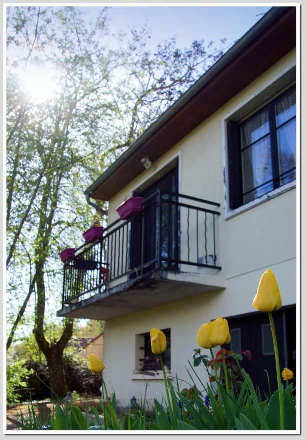 Chez Flo Et Marc Apartment Chouzy-sur-Cisse Bagian luar foto
